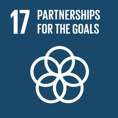 sdg_17